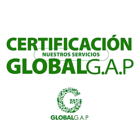Certificación Global G.A.P.